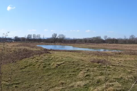 Bei Erholungssuchenden beliebte Idylle: die Ganerb zwischen Hanhofen und Harthausen.