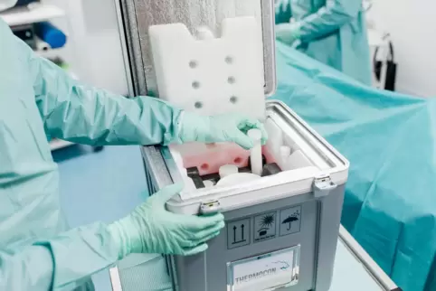 In den Thermoboxen von Schaumaplast für den Pharmabereich werden unter anderem auch Organe oder temperaturempfindliche Medikamen