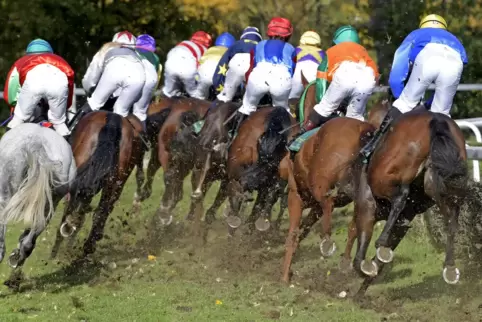  Im Galoppsport geht es weiter – trotz Herpesvirus.