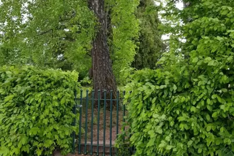 Der Eingang zum Reifenberger Friedhof.