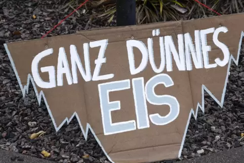 FFF-Plakataktion in Speyer im Februar.