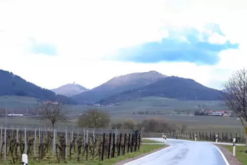 Der Mast soll etwa hier an der Kreisstraße 6 zwischen Mörzheim und Ilbesheim aufgestellt werden – vor der Kulisse der Haardt. 