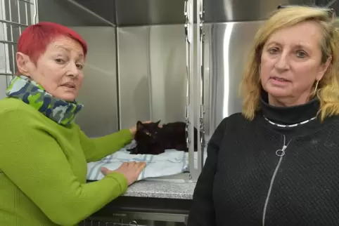 Die Tierfreundinnen Bianca Helwig und Bea Speicher-Spengler (von links) kümmern sich im Katzenhaus um die geretteten Tiere. 