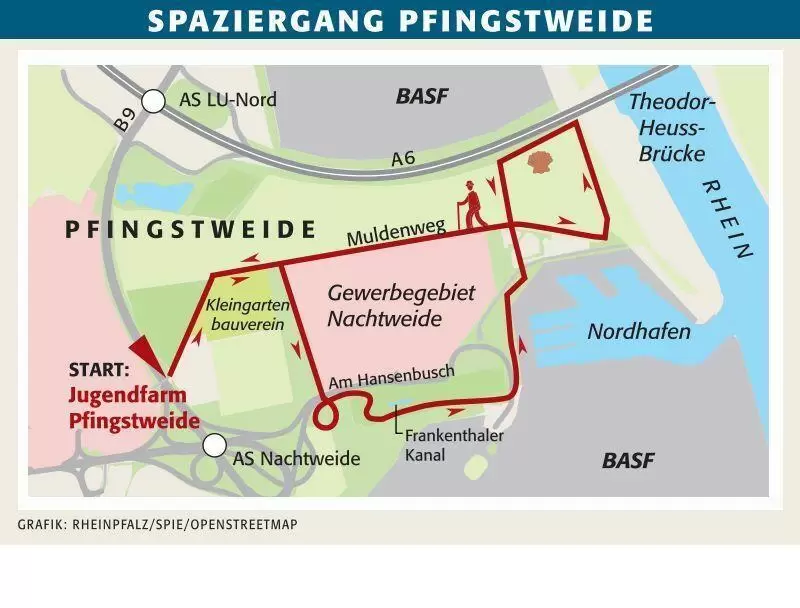 ludspazier01