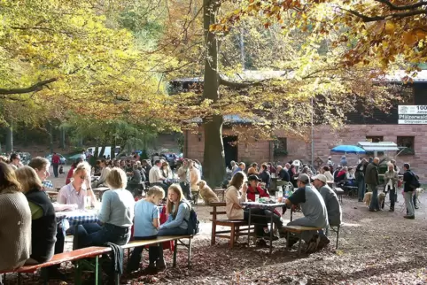 Die Pfälzer Hüttenkultur ist Immaterielles Kulturerbe. Hier rasten Wanderer an der Lambertskreuz-Hütte. 