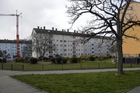 Im Albrecht-Dürer-Ring möchte ein Investor zwei Gebäude errichten. Links im Bild: die dortige Baustelle eines bereits laufenden 