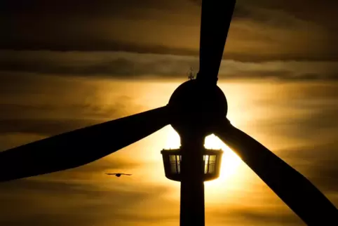 Werden sich auch im Pfälzerwald in absehbarer Zeit Windräder drehen? 