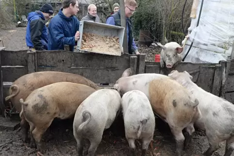 Die „Saubande “ besteht mittlerweile seit sechs Jahren.