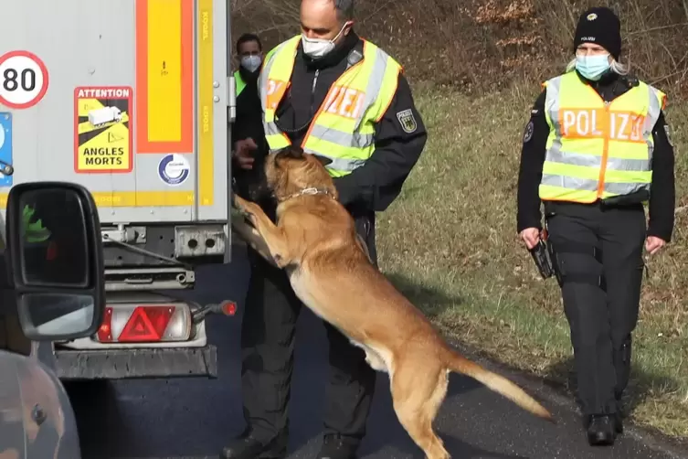 Sp&uuml;rnase: Ein Polizeihund schn&uuml;ffelt nach versteckten Passagieren im Lkw. 
