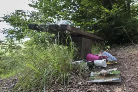 Asoziales Verhalten: Wälder, Rastplätze, Straßenränder liegen voller Müll, den Menschen einfach fallenlassen oder in die Landsch