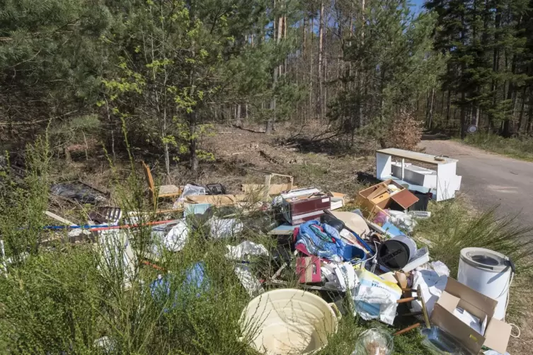 Haushaltsaufl&ouml;sung am Wegesrand: Bei Hochspeyer haben Unbekannte im vergangenen Jahr illegal Sperrm&uuml;ll am Waldrand abgeladen. 