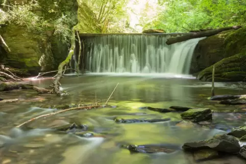 Grüne Wälder, säuselnde Bäche und ein rauschender Wasserfall: die Rundwanderung Baybachklamm. 