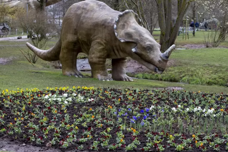 Am Samstag dürfen wieder Besucher das Gelände der Gartenschau betreten – allerdings gibt’s Auflagen. 