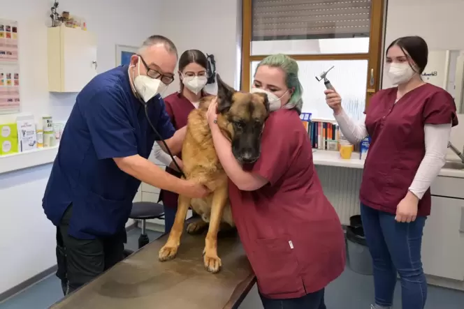 Nur der Hund darf auf die Maske verzichten: Tierarzt Christian Bonnet mit seinen Helferinnen Angelina Franz, Marlen Cersto und M Nur der Hund darf auf die Maske verzichten: Tierarzt Christian Bonnet mit seinen Helferinnen Angelina Franz, Marlen Cersto und M