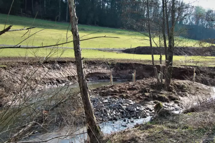 Im Bach wurden Inseln als Ruhepl&auml;tze f&uuml;r die Tiere angelegt.
