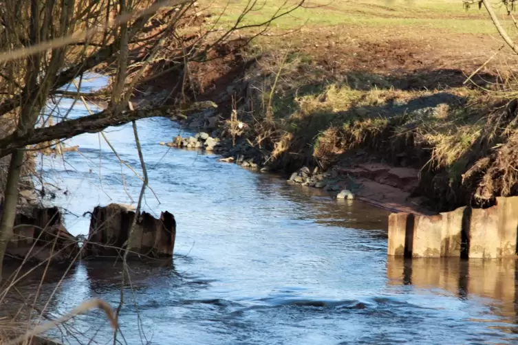 Beim Westwallbau wurden diese Stahlbleche in die Felsalb gerammt. Bei Niedrigwasser wirken sie auch in der Mitte wie Staumauern.