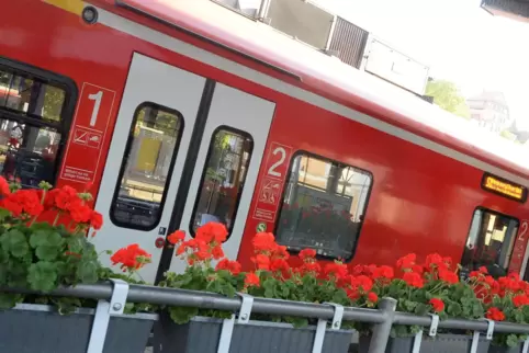 20200730_hbf_geranien_a