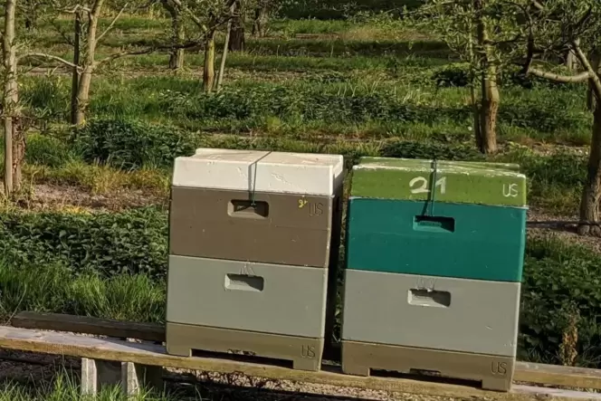 Mobile Bienenstöcke im »Schubkastensystem«. Mobile Bienenstöcke im »Schubkastensystem«.