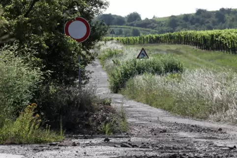 Die Entsiegelung der alten K3 zwischen Arzheim und Ranschbach kann dem Ökokonto der Stadt zugutekommen. 