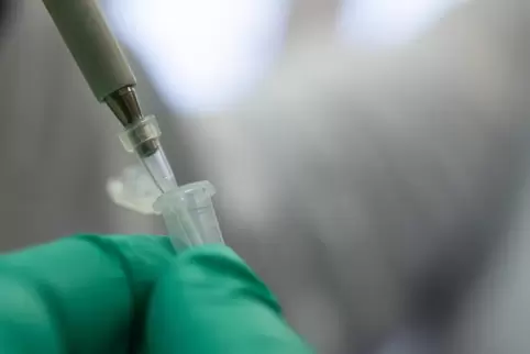 Suche nach B.1.1.7 – in Frankenthal ist die britische Variante des Coronavirus in den zurückliegenden zwei Wochen 32 Mal in posi