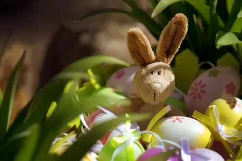 Erst der Weihnachtsmann, jetzt der Osterhase: Aus einem Vorgarten in Deidesheim ist schon wieder die Deko verschwunden. 
