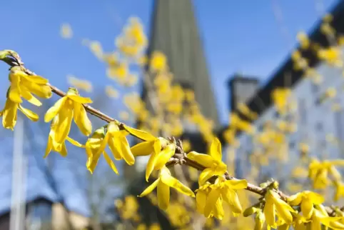 Ostergottesdienste sollen nicht nur in der Christuskirche in Otterbach abgehalten werden.