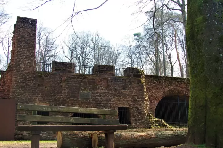 Vom Karlsbergweiher hatte man einst einen freien Blick zur Ruine Orangerie.