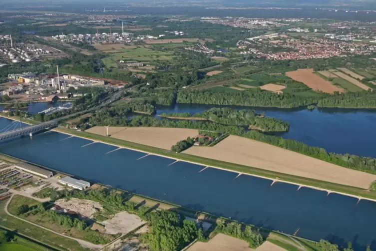 Beim Knielinger See ist ein weiteres Hochwasserschutzprojekt in Planung. Der dortige Damm muss ertüchtigt werden. 