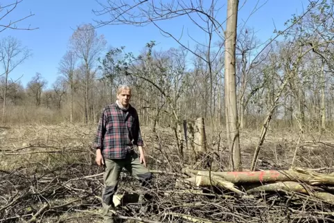 Förster Georg Spang steht vor einer kahlgeschlagenen Fläche im Otterstadter Angelwald nahe dem Spazierweg am Rhein.
