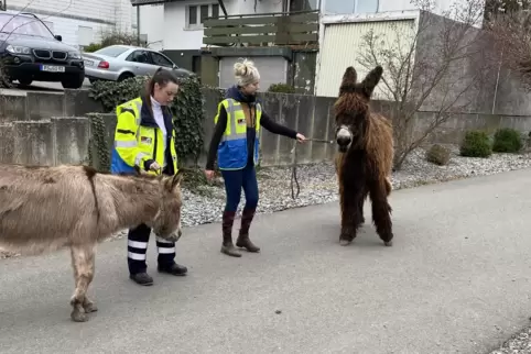 Anna Lena von Rohden (links) und Saskia Schirmer mit den beiden Eseln. 