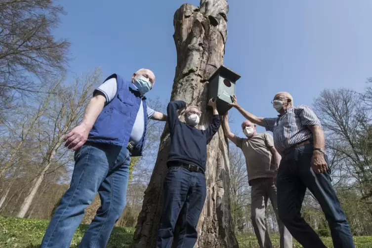  Lothar Klein, Walter Bode, Kurt Wilhelm und Jürgen Domke (von links) halten den neuen Nistkasten für den Waldkauz Probe – er mu