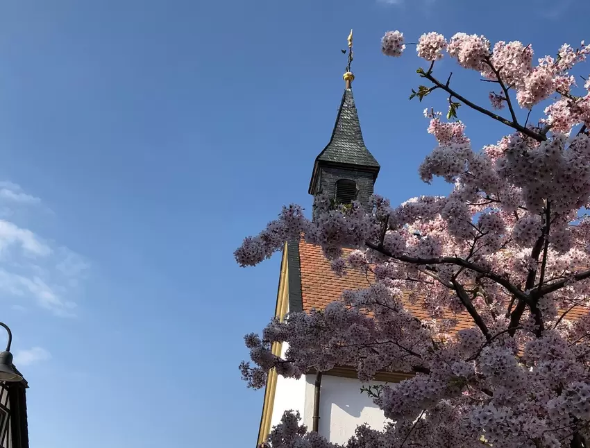Die Kirche im Blütenmeer hat Uschi Zelmer in Friedelsheim am Ostersonntag geknipst.