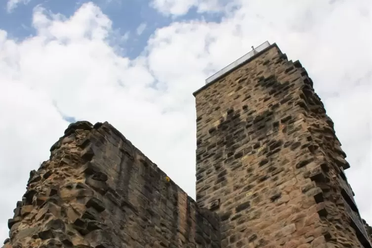 Die Wachtenburg ist schon seit Langem ein Brutplatz f&uuml;r Falken.