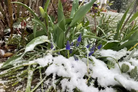 In der Westpfalz hat es am Mittwoch geschneit – wie hier in Breitenbach im Kreis Kusel.