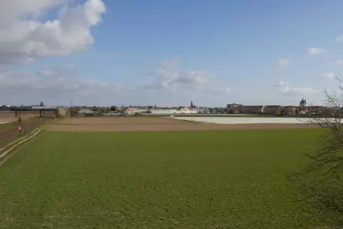 Blick aus Richtung Frankenthal auf das potenzielle Wohngebiet. Hier dürften aber nicht nur Einfamilienhäuser entstehen.