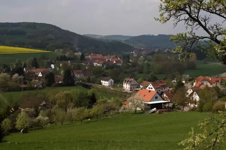 Die Ortsgemeinde Matzenbach verfügt über rund 164 Hektar Wald. 
