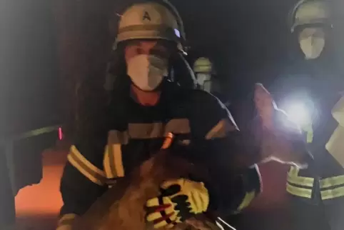 Mit dem geretteten Reh: Feuerwehrmann Jens Wagner.