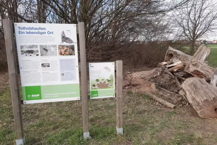 Eine &ouml;kologische Infostation.