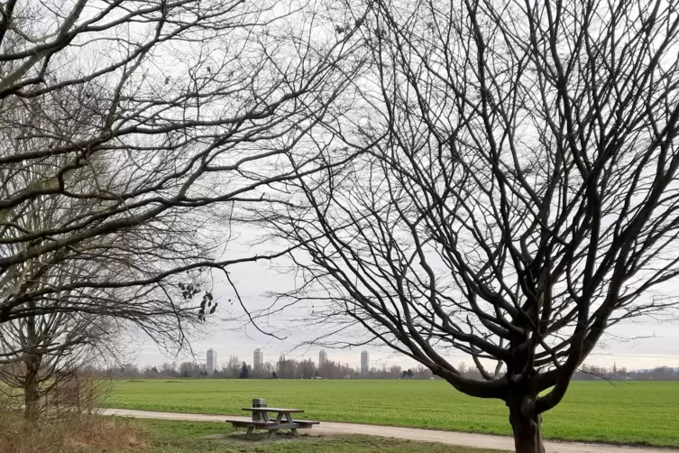 Blick auf die Froschlache.