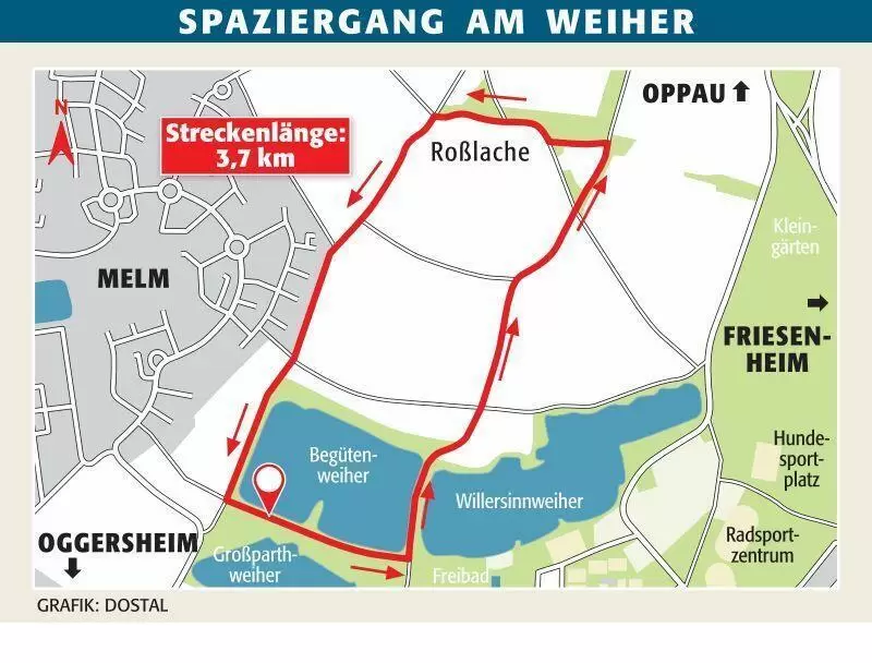 lu_spaziergang_willersinnweiher_ngen