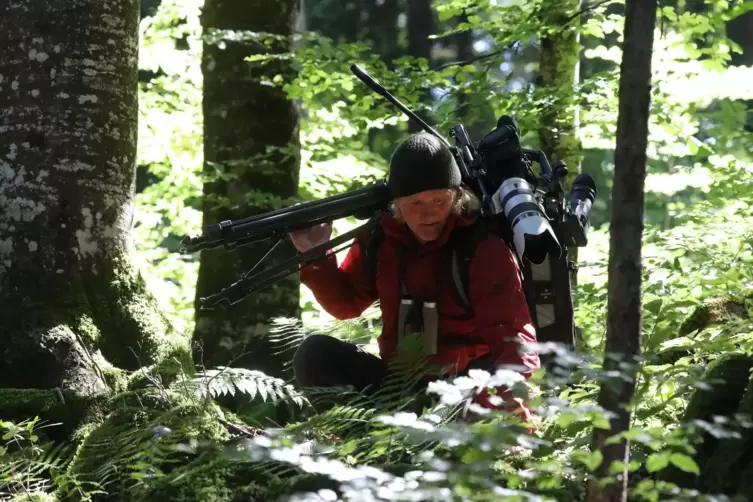 In den Wäldern Sloweniens hat Andreas Kieling für die neue Folge seiner Dokureihe Bären und Wölfen nachgespürt. 