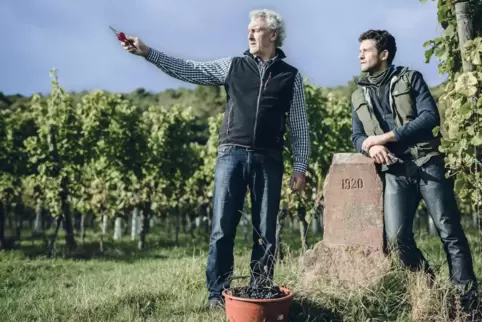  Das pfälzische Weingut von Werner (l) und Johannes Jülg (r) in Schweigen-Rechtenbach (Kreis Südliche Weinstraße) ist eines von 
