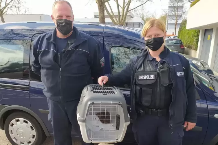 Die beiden Ortspolizisten bringen den Igel in einer Transportbox zum Tiernotruf Saarland.