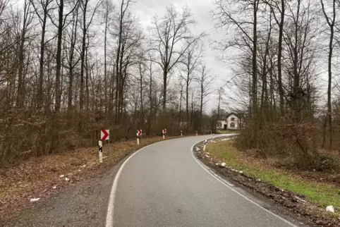 Am Ende dieser Rechtskurve beginnt Bienwaldmühle. Dort endet der auf der nördlichen Seite (links) der Straße verlaufende Radweg.