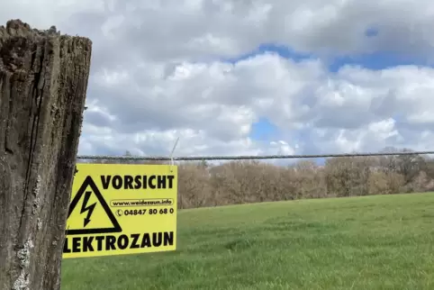 Das Neubaugebiet soll jetzt in die Hanfstücke. Dort ist derzeit noch Weideland.