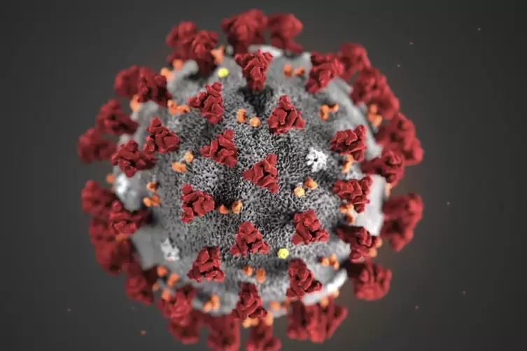 Das Coronavirus im Modell.