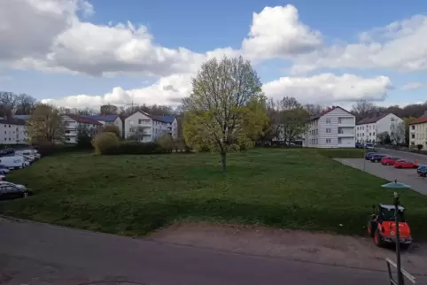 Dieses Grundstück in der Zeilbäumerstraße will die Gewobau vom Bund kaufen. 
