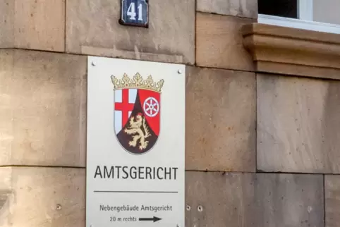 Die beiden Männer mussten sich vor dem Amtsgericht in Speyer verantworten. 