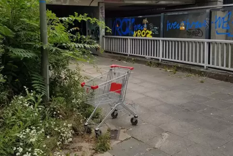 Verlassen stehen Einkaufswagen oft in den Straßen herum. Viele Märkte versuchen mit Wegfahrsperren, dies zu verhindern. 