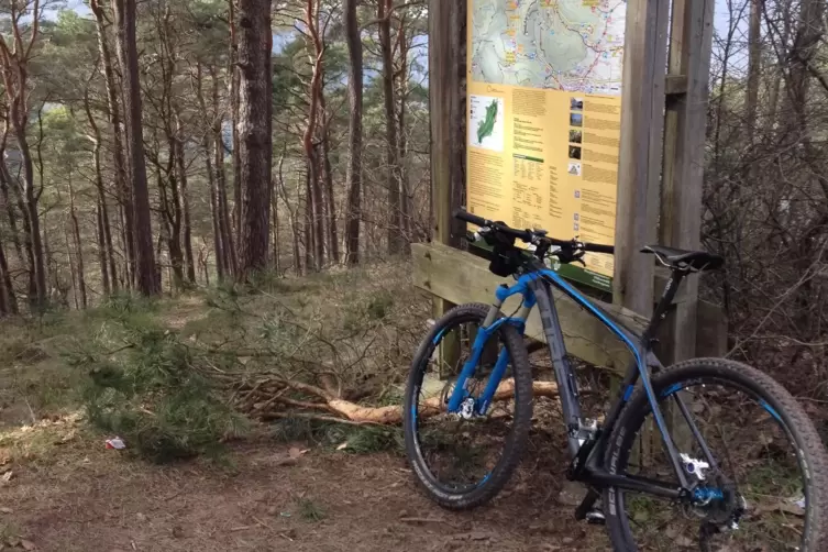 Radfahren im Wald kann zu Konflikten führen. Deshalb will die Pfalztouristik mit einer Kommunikationskampagne für mehr Achtsamke